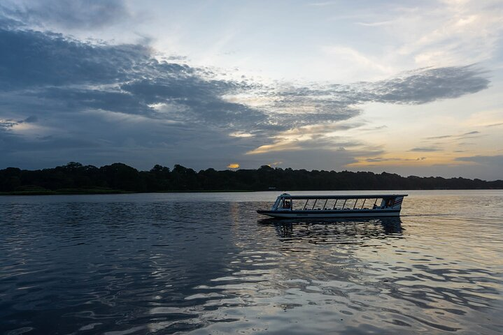 Tortuguero: Spawn Turtle + Canoe Tour + Night Jungle Tour  - Photo 1 of 9